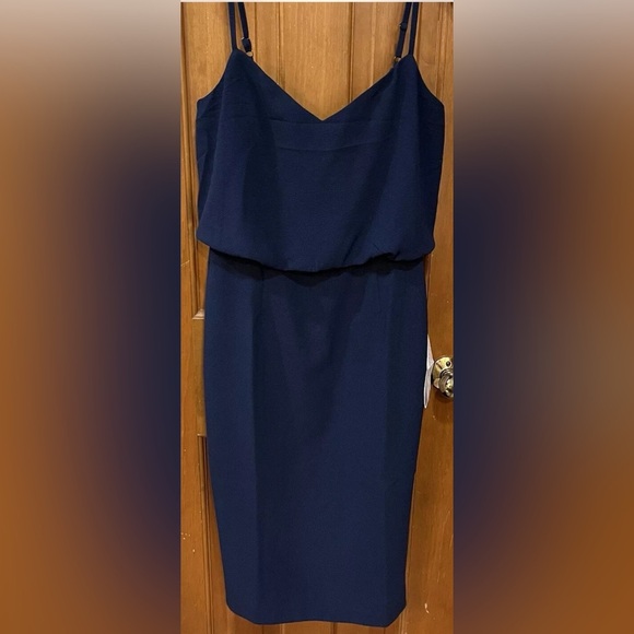 Super Classy! Dress the Population Alondra Dress - Picture 6 of 11